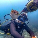 Mantanani Island Diving Paradise Tour from Kota Kinabalu - Authentic Experiences & Unique Insights