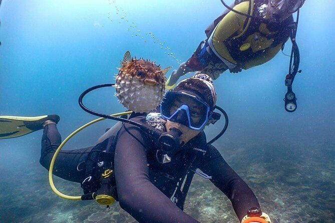 Mantanani Island Diving Paradise Tour from Kota Kinabalu - Authentic Experiences & Unique Insights