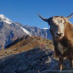 Mardi Himal Trek (5 Days) - Key Points