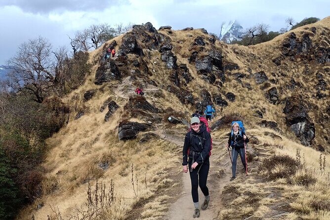 Mardi Himal Trek - Authentic Insights from Reviews
