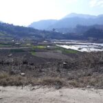 Mardi Himal Trek and Natural Hot Spring - What Travelers Say (Based on Reviews)