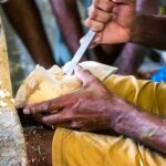 Mask Making Tour from Bentota - The Tradition of Mask-Making in Sri Lanka
