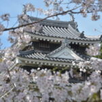 Matcha, Confections, and Traditions in Nishio From Nagoya - Who Will Love This Tour?