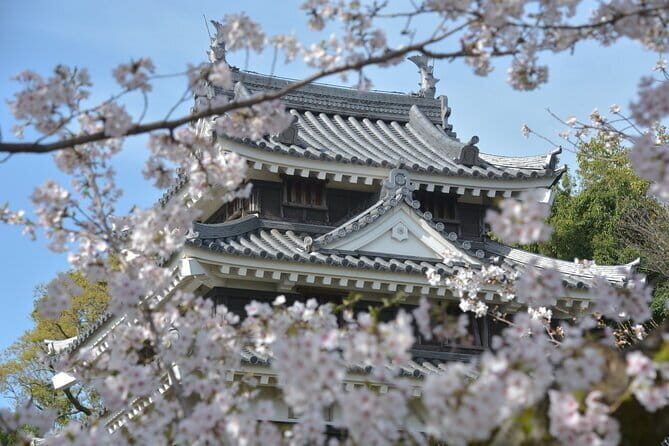 Matcha, Confections, and Traditions in Nishio From Nagoya - Who Will Love This Tour?