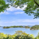 Matsushima Sightseeing Tour with Guided Tour - Who is This Tour Best For?