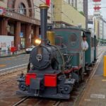 Matsuyama Full-Day Private Trip with Government-Licensed Guide - Practical Tips and Considerations