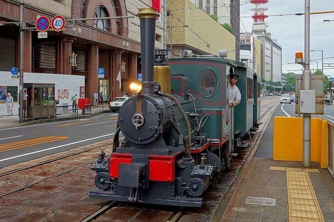 Matsuyama Full-Day Private Trip with Government-Licensed Guide - Practical Tips and Considerations