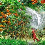 Mekong Delta 1 Day Tour - Who Is This Tour Best For?