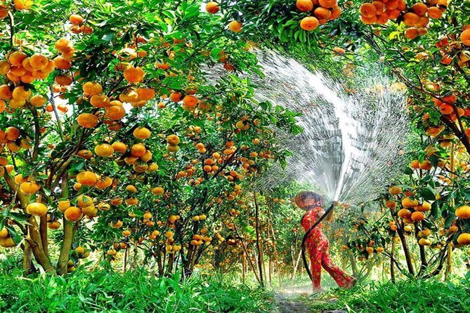 Mekong Delta 1 Day Tour - Who Is This Tour Best For?