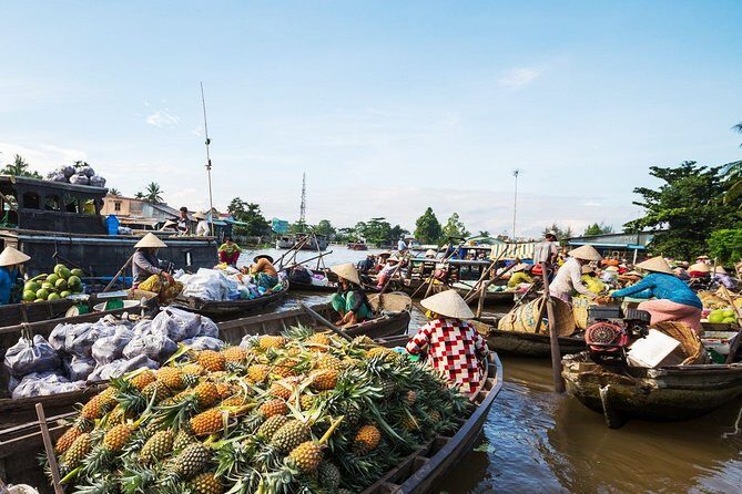 Mekong Delta 2-day: Cai Be - Can Tho: Cai Rang floating market - Who Should Consider This Tour?