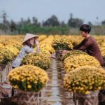 Mekong Delta 3 Days 2 Nights - Tt Holiday (New Year Holiday) - FAQ