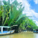 Mekong Delta Tour from Ho Chi Minh City - A Deep Dive Into the Mekong Delta Tour Experience
