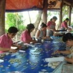 Mekong Delta visiting My Tho full day by bus - Transport, Guides, and Group Size