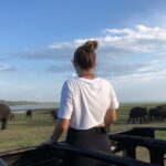 Minneriya Safari Tour from Sigiriya - Analyzing the Experience: What’s Included and What to Expect