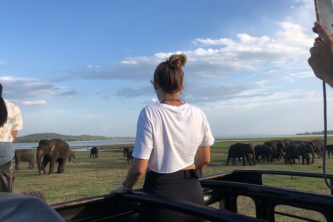 Minneriya Safari Tour from Sigiriya - Analyzing the Experience: What’s Included and What to Expect