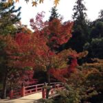 Miyajima full day tour - Detailed Breakdown of the Itinerary