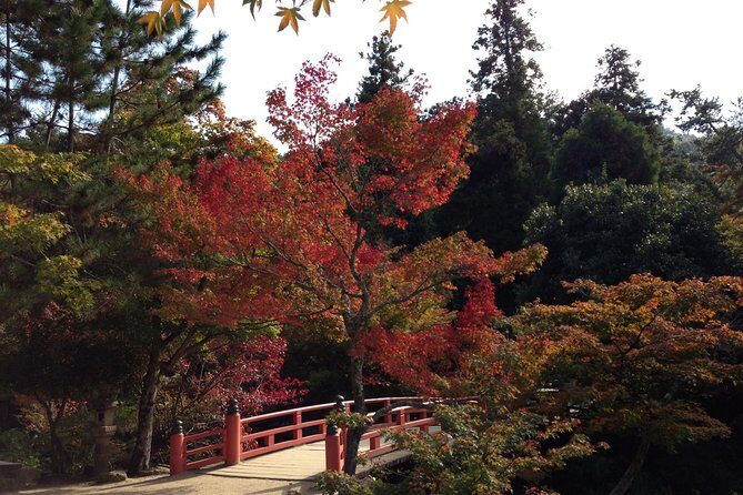 Miyajima full day tour - Detailed Breakdown of the Itinerary