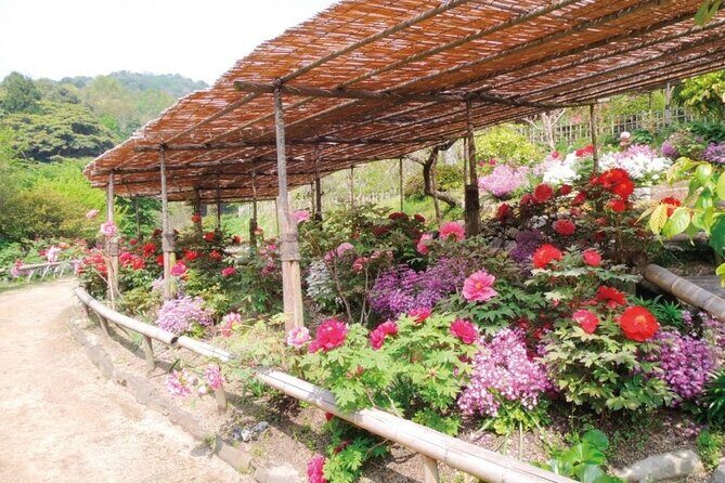 Mojiko Retro, Kawachi Wisteria and Shiranoe Gardens Tour YokaBus - Final Thoughts: Who Is This Tour Best For?