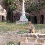 Monywa Day Return Tour from Mandalay - FAQs