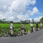 Morning Best Bali Cycling Kintamani Tour - Authenticity and Value
