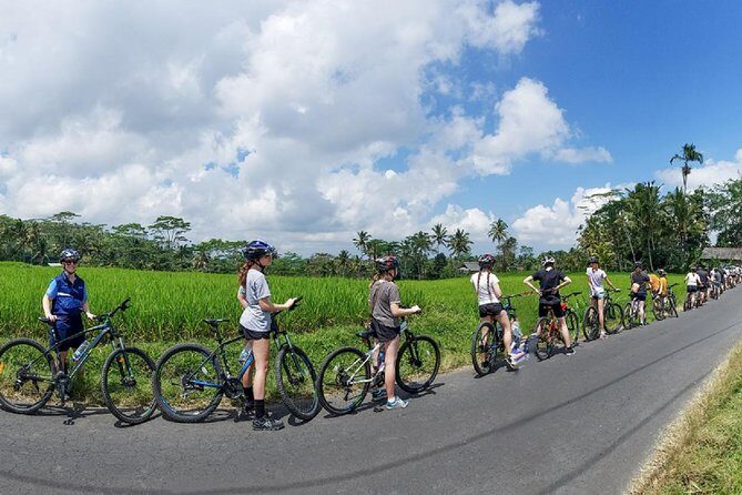 Morning Best Bali Cycling Kintamani Tour - Authenticity and Value