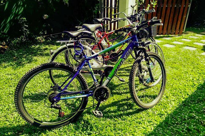 Morning Sports Cycling from Galle - The Itinerary: A Closer Look