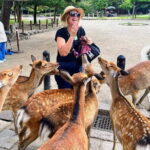 Morning Wonder World Heritage Nara Guided Tour - Exploring Nara in Half a Day: What to Expect