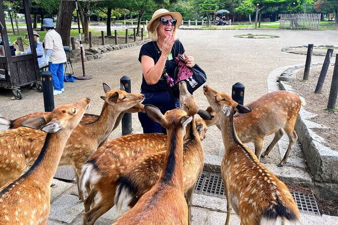 Morning Wonder World Heritage Nara Guided Tour - Exploring Nara in Half a Day: What to Expect