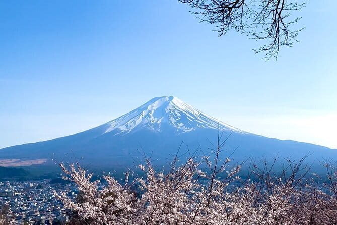 Mount Fuji Adventure Tour from Tokyo with English Guide - An In-Depth Look at the Mount Fuji Adventure Tour