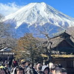 Mount Fuji and Hakone Private Tour With Pick And Drop - The Experience: A Deep Dive into the Itinerary