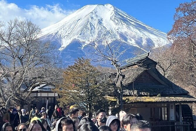 Mount Fuji and Hakone Private Tour With Pick And Drop - The Experience: A Deep Dive into the Itinerary
