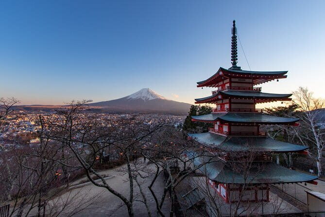 Mount Fuji and Lake Kawaguchi Private Day Trip From Tokyo - Who Should Consider This Tour?