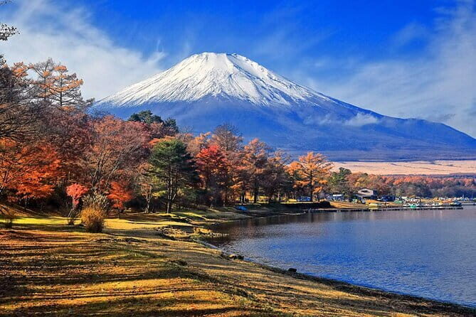 Mount Fuji and Oshino Hakkai Sightseeing Day Tour From Tokyo - Who Will Love This Tour?
