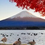 Mount Fuji Day Tour with Matcha Experience, and Arakurayama Park - Who Should Consider This Tour?