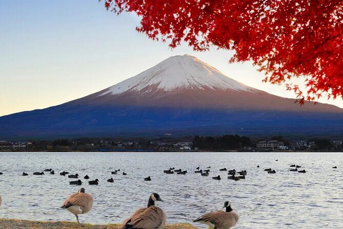 Mount Fuji Day Tour with Matcha Experience, and Arakurayama Park - Who Should Consider This Tour?