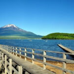 Mount Fuji Flower Viewing Limited Gotemba Outlet Tour - Practical Details and What You Should Know