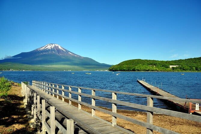 Mount Fuji Flower Viewing Limited Gotemba Outlet Tour - Practical Details and What You Should Know