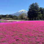Mount Fuji private Day Tour with English Driver - What Reviews Tell Us (From the Limited Data)