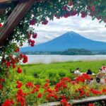 Mount Fuji Private Day Tour With English Speaking Driver - Who Is This Tour Best For?