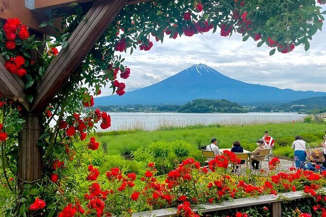 Mount Fuji Private Day Tour With English Speaking Driver - Who Is This Tour Best For?