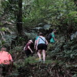 Mount Merapi: A Serene Soft Trek Through Botanic Villages Tour - What You Can Expect from the Tour