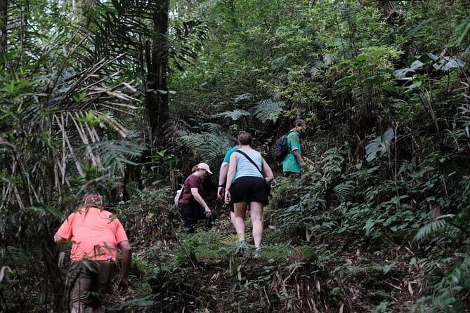 Mount Merapi: A Serene Soft Trek Through Botanic Villages Tour - What You Can Expect from the Tour