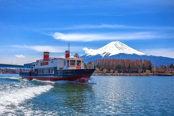 Mountain Fuji Tour In Japan With Professional English Tour Guide - Who Should Consider This Tour