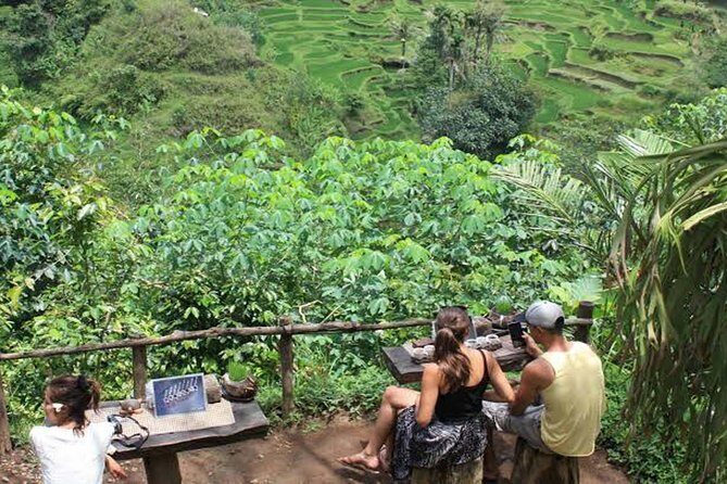 Mt. Batur Trekking With Hot Spring & Guide - The Verdict: Is It Worth It?