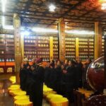 Mt Emei 1 day tour - Authentic Insights from Past Travelers