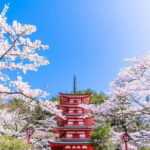 Mt Fuji 5th Station/Arakurayama Sengen Park & Oshino Hakkai Tour - Who Is This Tour Best For?