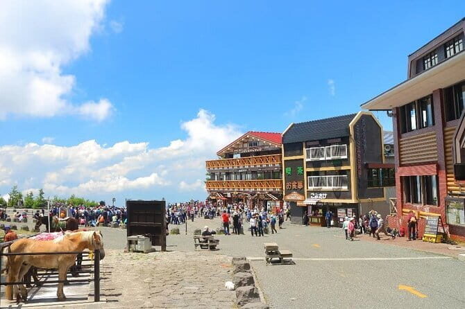 Mt Fuji and Hakone One Day Tour departure from Tokyo with lunch - Who Should Consider This Tour?