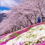 Mt. Fuji Day Tour from Shinjuku in Tokyo Japan - The Practical Side: Details That Matter