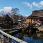 Mt.Fuji Full-Day Private Tour By Public Transportation - FAQ