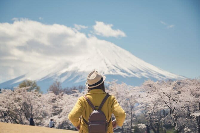 Mt. Fuji & Hakone Day Trip from Tokyo: Private English Driver - A Deep Dive into the Experience